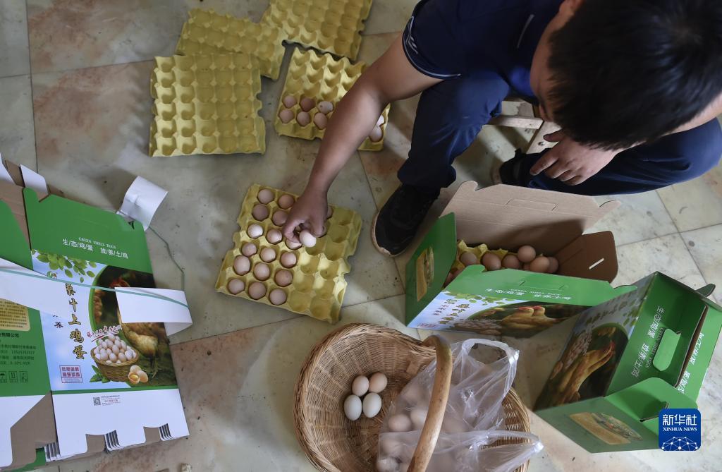 十博只给本金